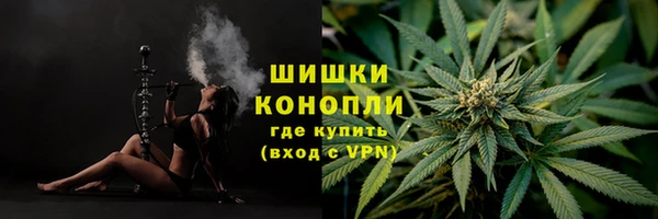 СК Волоколамск