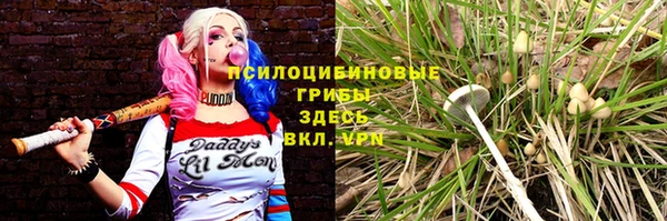 альфа пвп Володарск