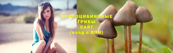 СК Волоколамск