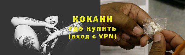 СК Волоколамск