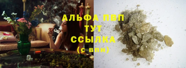 СК Волоколамск