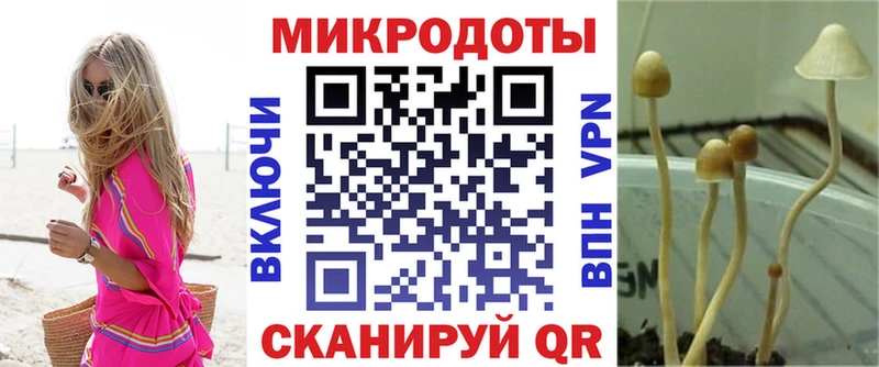 Галлюциногенные грибы Psilocybine cubensis  Купить где  Нижневартовск 